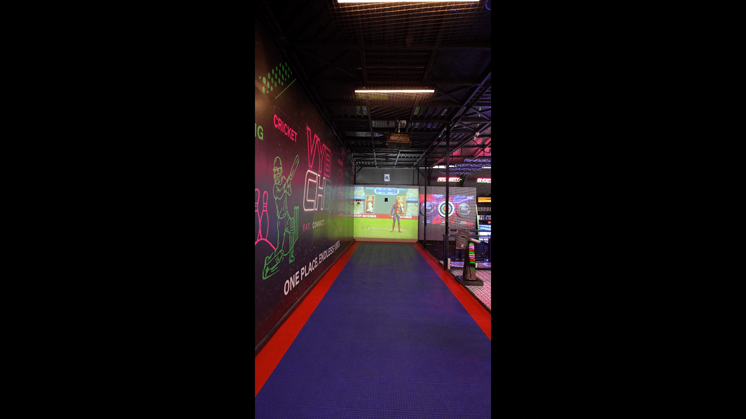 3IN1 Sports Cage